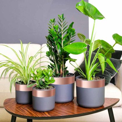 Двуостра медна лента 6 pcs Мед 2000 x 7 см Мед