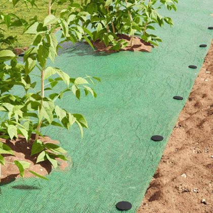 Пластмасови Пинове 500 pcs Черно 3 x 11 см Пластмаса