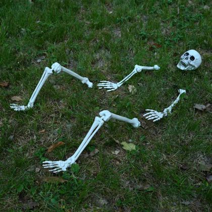 Halloween скелет Бяло 20 x 10 x 9,5 cm Пластмаса