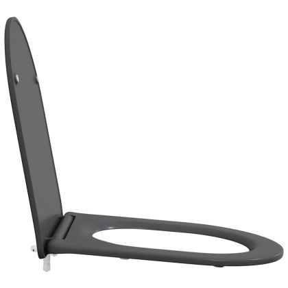 Бързо освобождаваща тоалетна седалка Антрацит