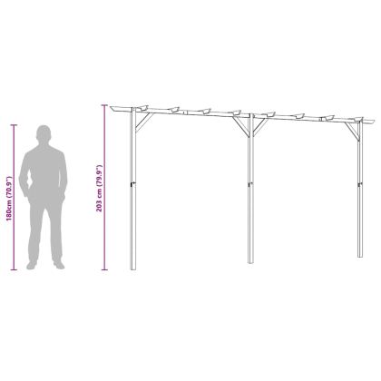 Градинска пергола, 410x40x203 см, дърво