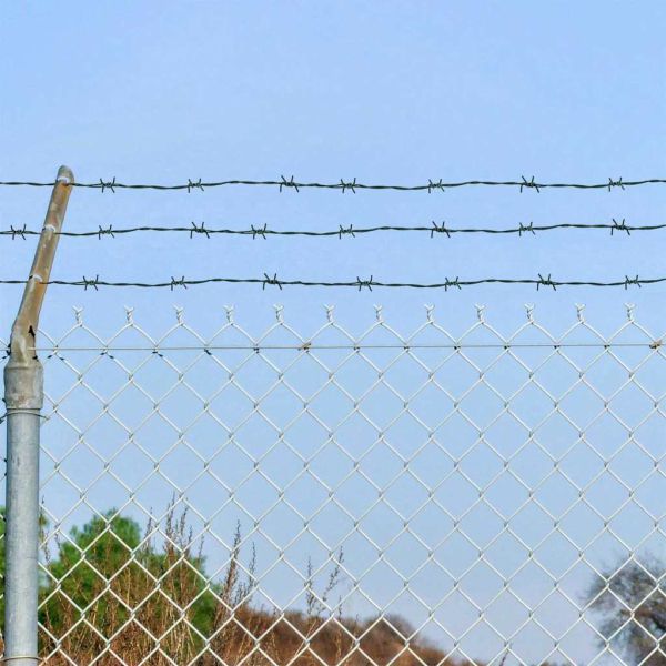 Бодлива тел Зелен 50 m Горещо поцинкована стомана