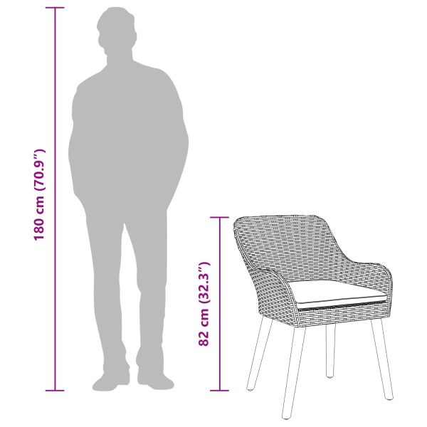 Комплект за хранене в градината 5 pcs Черно полиратан
