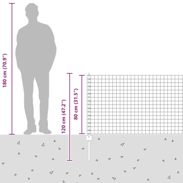 Ограда и колче Сребрист 0,8 x 25 m Стомана