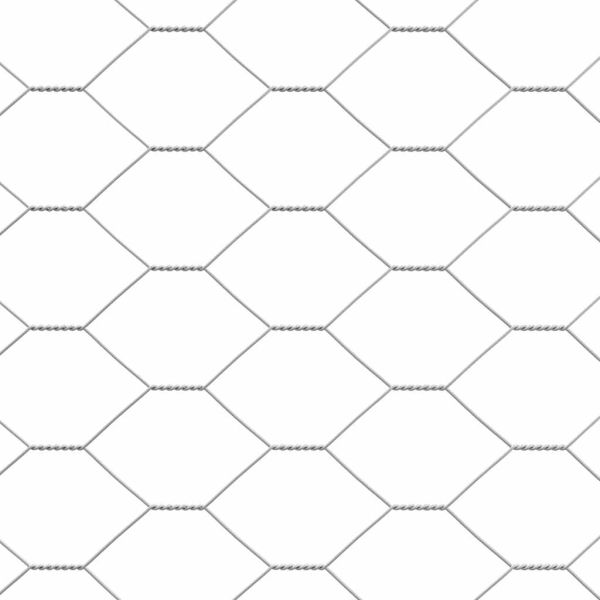 Клетка за пилета Сребрист 2 x 2 x 2 m Галванизирана стомана