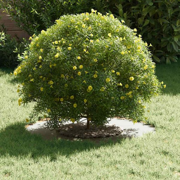 подходяща за плоски дървени халки 5 pcs Бяло Ø30 / 60 см Стомана