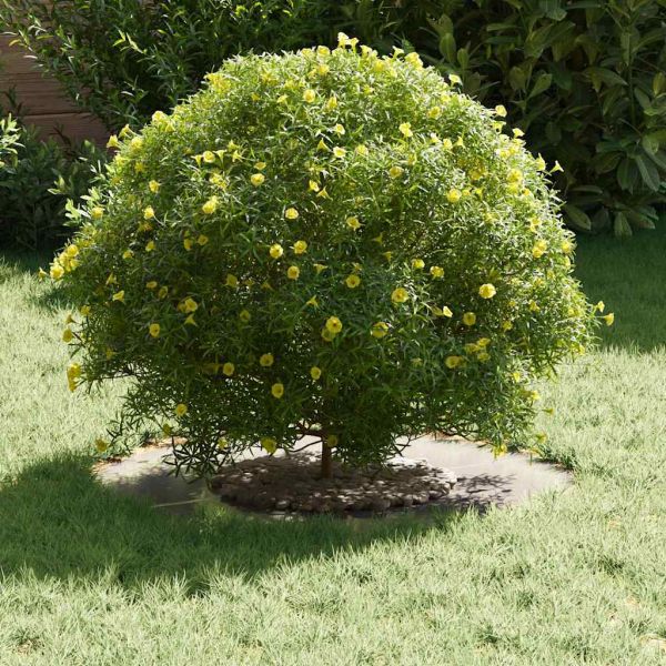 подходяща за плоски дървени халки Сребрист Ø30 / 60 см