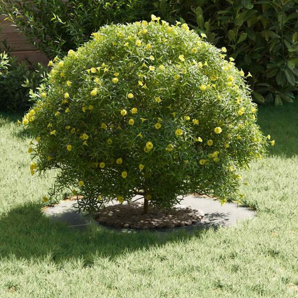 подходяща за плоски дървени халки Сребрист Ø30 / 60 см