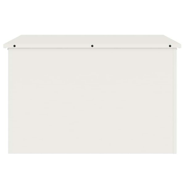 Кутия за съхранение на открито Бяло 80 x 50,5 x 50 см Стомана