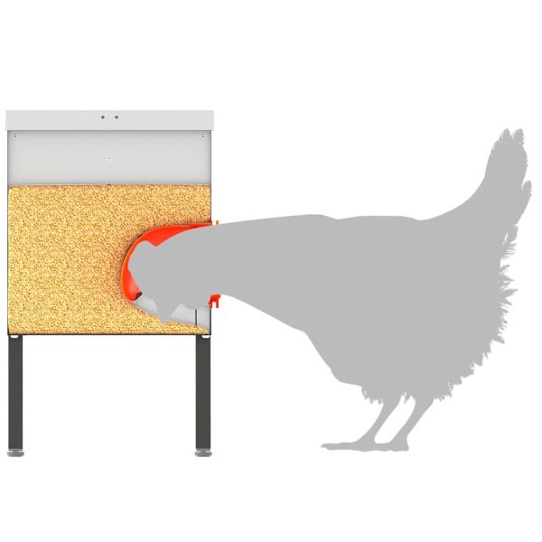 Кокошарник Сребрист 41,5 x 20,5 x 33 см Галванизирана стомана