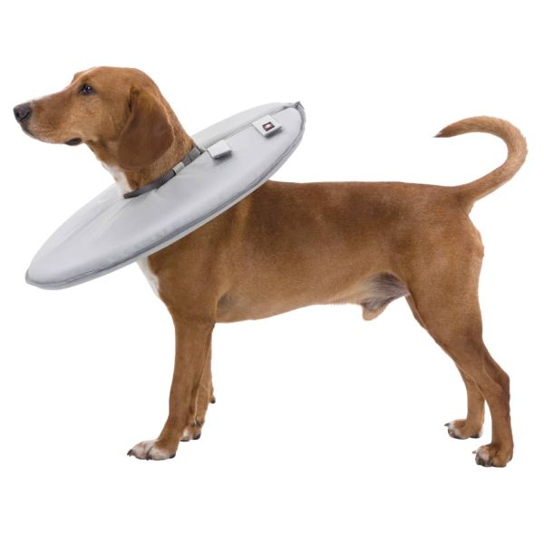 TRIXIE Защитна яка за домашни любимци, L-XL, 27 см