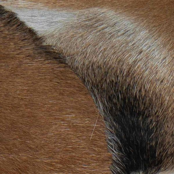 Пейка от козя кожа и тиково дърво