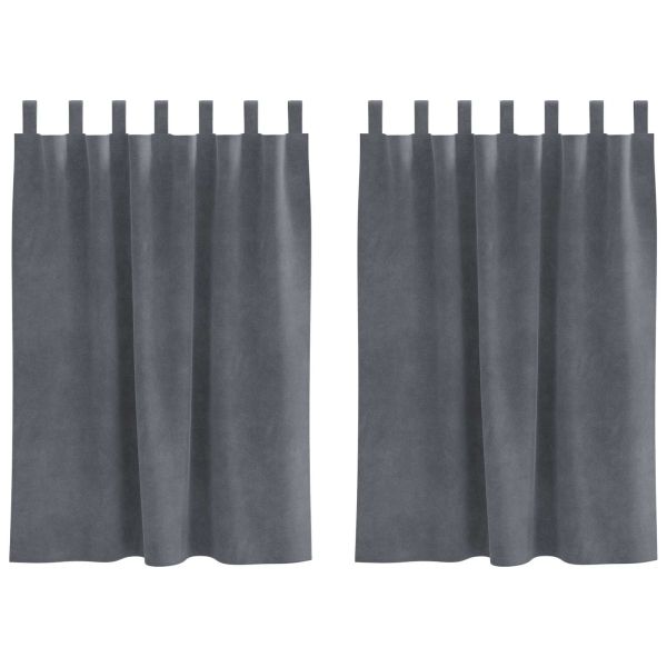 Затъмняващи завеси 2 pcs Светлосиво 140 x 140 cm Кадифе