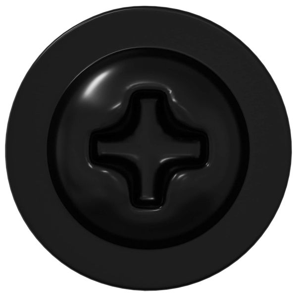 Самонарезен гвоздей 2 pcs Черно 3,5 x 12 мм Желязо