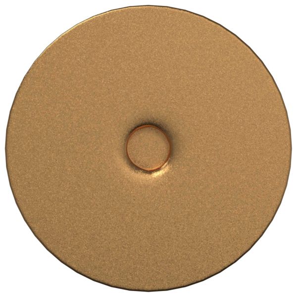 Стативни крака 12 pcs Златист 98 x 40 мм Желязо