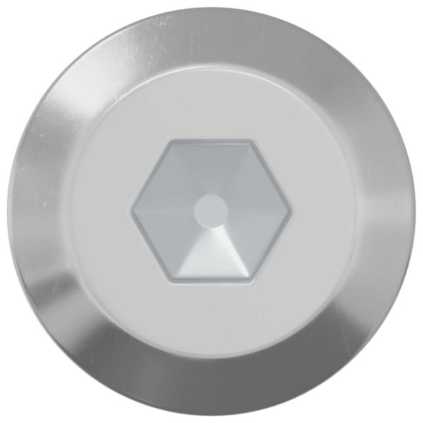 Винт 12 pcs Сребрист M6 x 60 мм Стомана