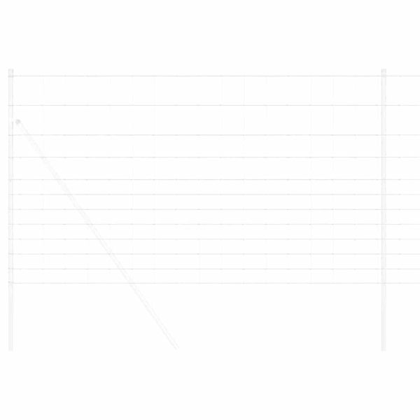 Ограда за пасища Сребрист 50 x 1,4 м Поцинкована стомана