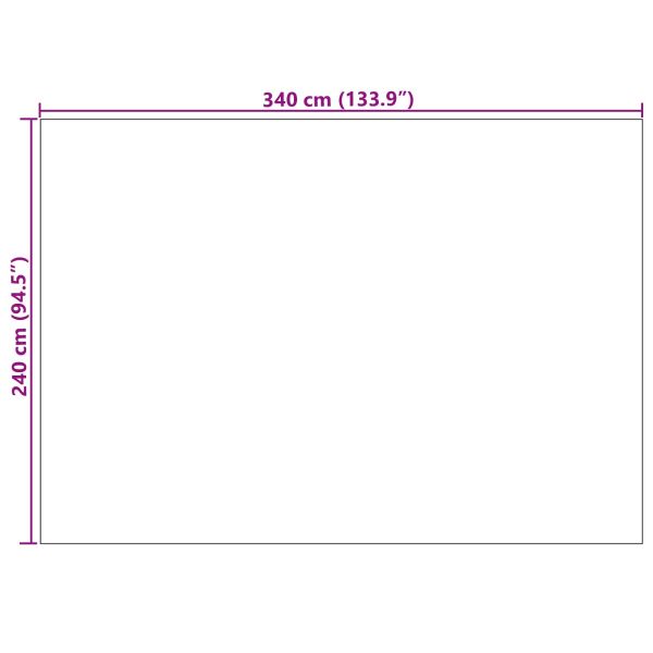 Килими за помещение HUARTE Бежово 340 x 240 см Полиестер