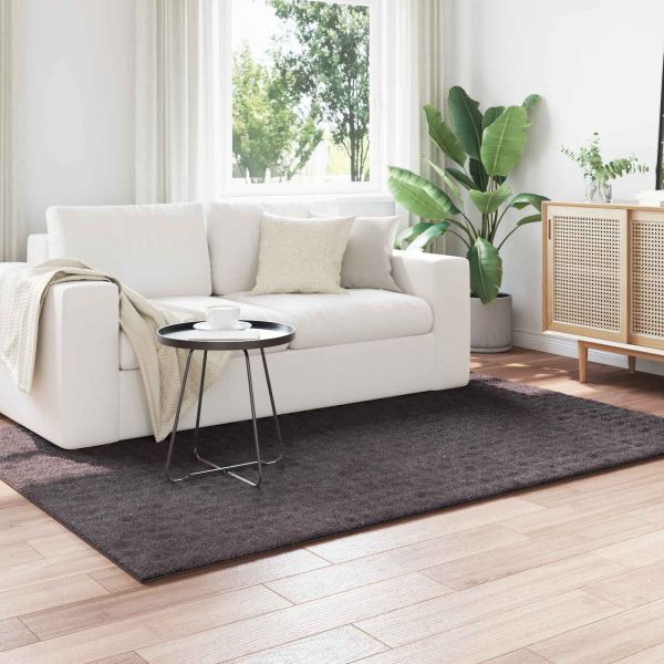 Килими за помещение HUARTE Антрацит 230 x 160 см Полиестер