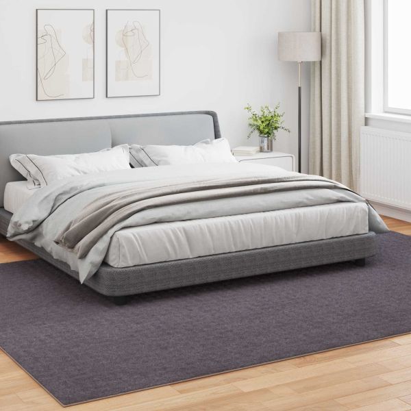 Килими за помещение Правоъгълна Антрацит 340 x 240 см