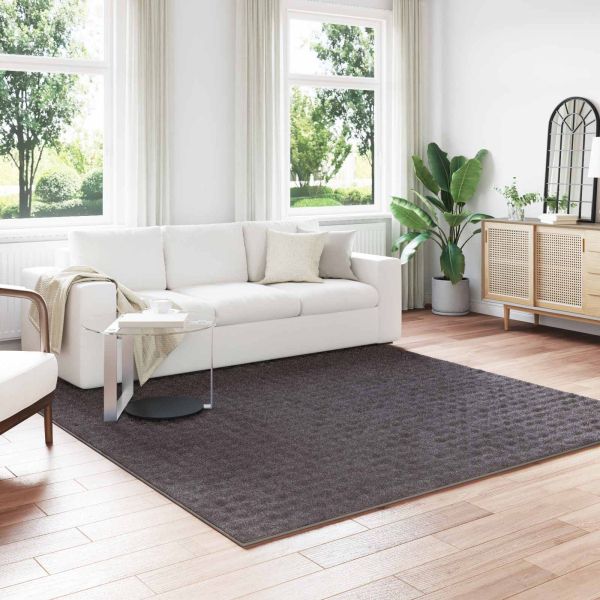 Килими за помещение Квадратна Антрацит 240 x 240 cm