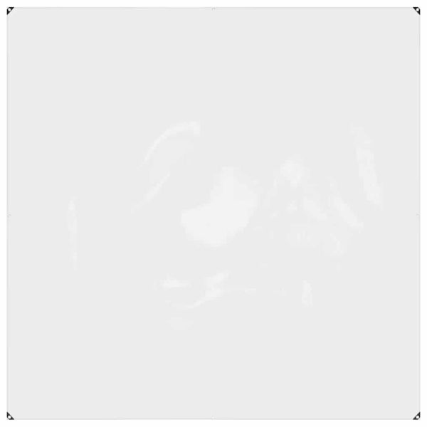 Прозрачен брезент с капси за връзки 2x2 м PVC