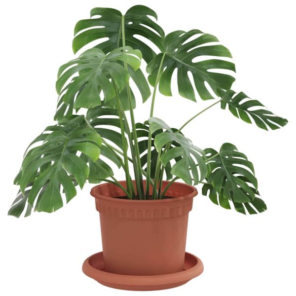 Саксии за растения 24 pcs Червено тухла Ø 12,5 x 10 см