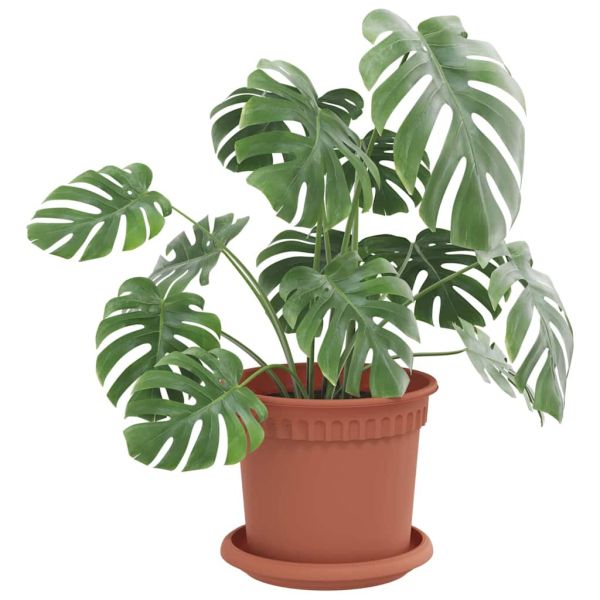 Саксии за растения 24 pcs Червено тухла Ø 15 x 12 cm Пластмаса