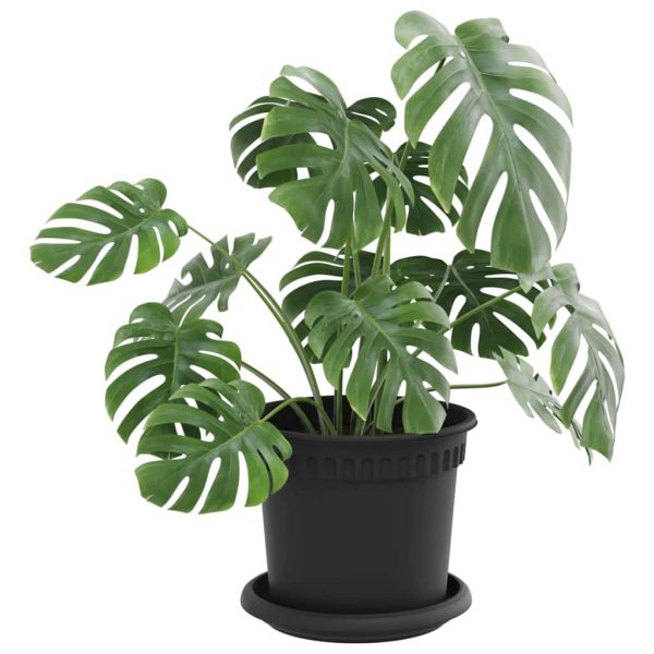 Саксии за растения 24 pcs Черно Ø 15 x 12 cm Пластмаса