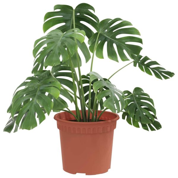 Кръгла саксия за цветя 6 pcs Червено тухла Ø 12,5 x 10 см