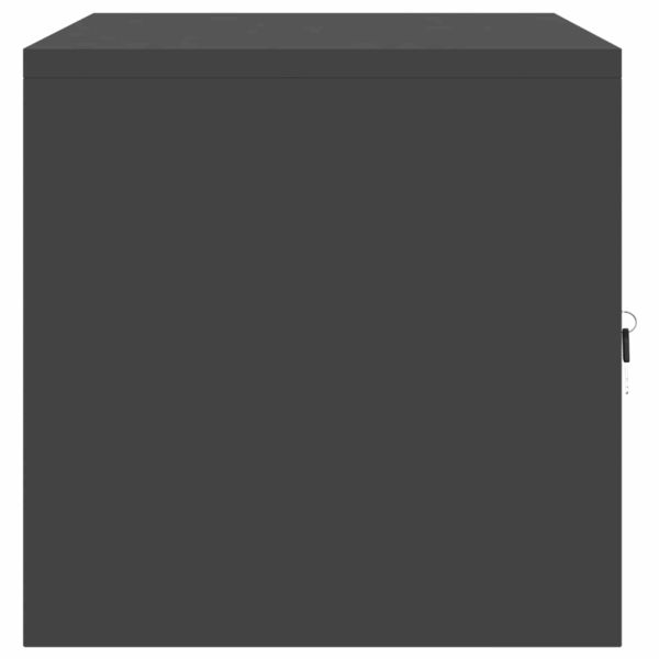 Шкаф за съхранение Черен 80 x 40 x 40 cm Стомана
