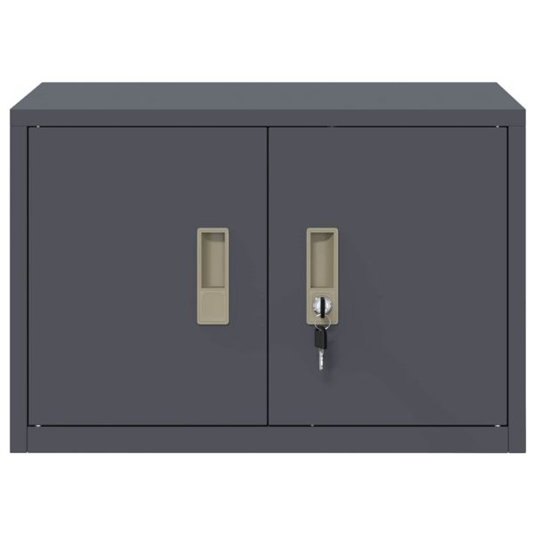 Шкаф за съхранение Антрацит 60 x 40 x 40 см Стомана