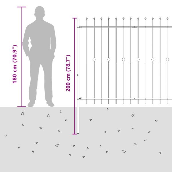Шипова ограда Черно 200 x 200 cm Прахово боядисана стомана