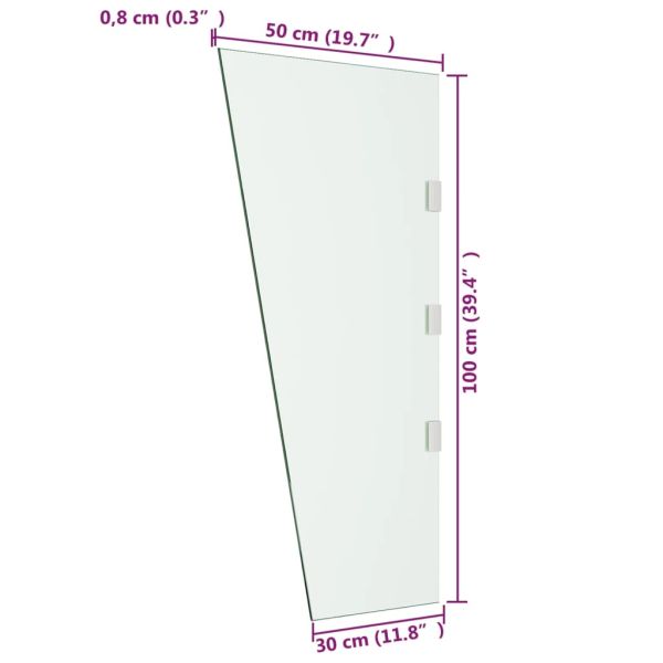 Страничен панел за навес за врата прозрачен 50x100 см стъкло