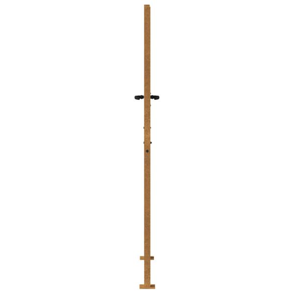 Градинска порта 100x200 см, кортенова стомана