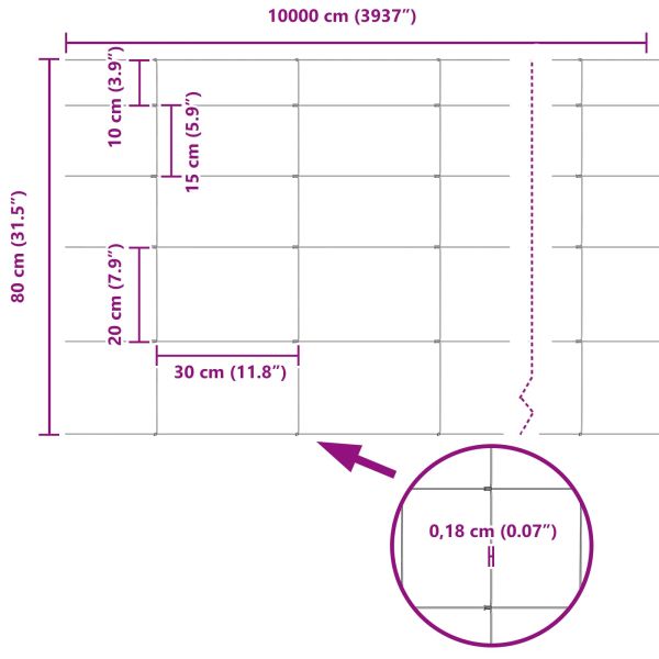 Ограда за пасища Сребрист 100 x 0,8 м Поцинкована стомана