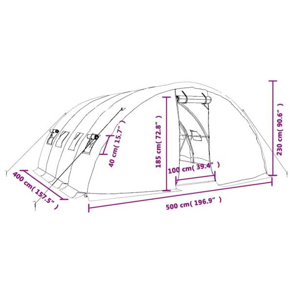 Оранжерия със стоманена рамка, бяла, 20 м², 5x4x2,3 м