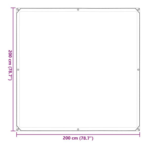 Платно с детайли Прозрачен 2 x 2 m Полиетилен