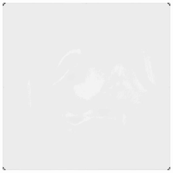 Платно с детайли Прозрачен 2 x 2 m Полиетилен