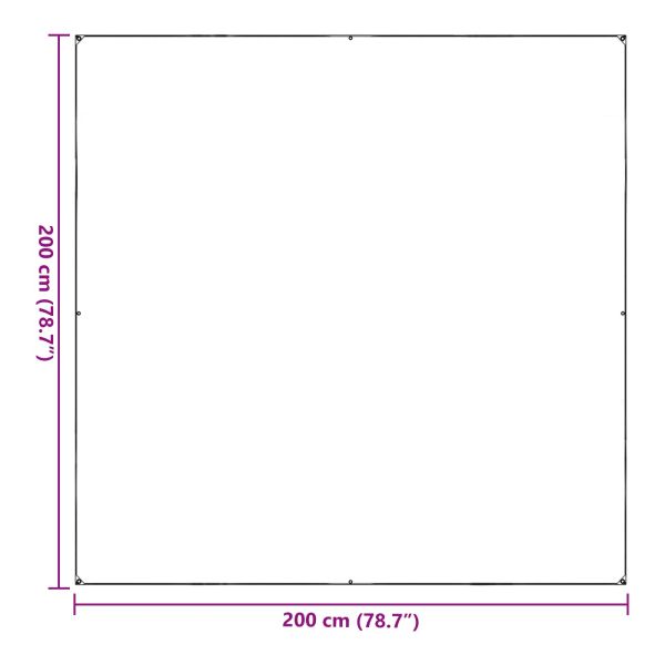 Платно с детайли Прозрачен 2 x 2 m Полиетилен