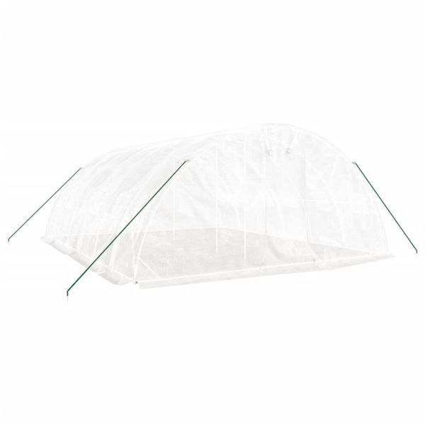 Оранжерия със стоманена рамка бяла 30 м² 6x5x2,3 м