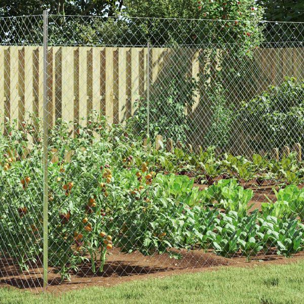 Оградa от мрежа Поцинкована 2 x 10 m Стъкло