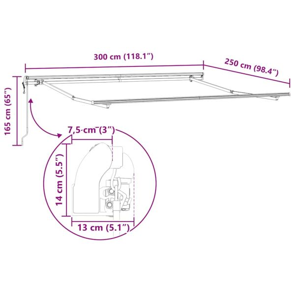 Автоматично прибираща се тента, бордо, 300x250 см