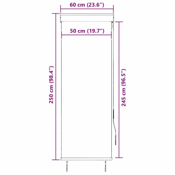 Външна ролетна щора, 60x250 см, антрацит