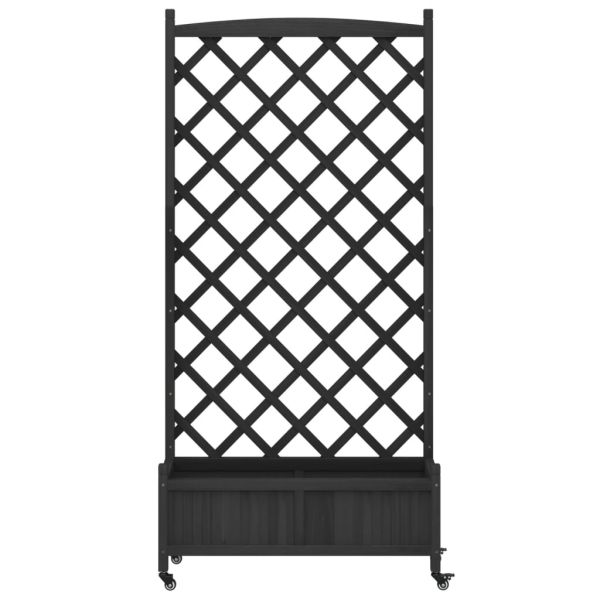 Кашпа с пергола и колелца, черно, масивна ела