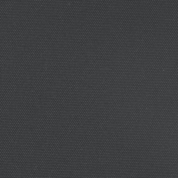 Прибираща се странична тента, черна, 220x1200 см