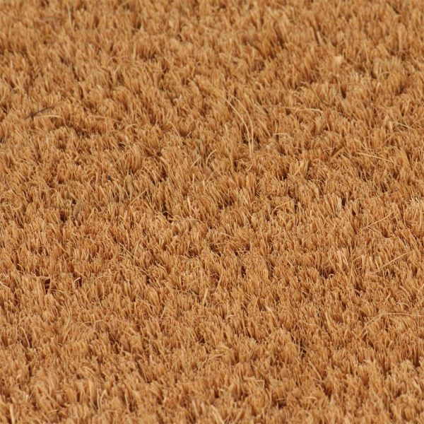 Изтривалки 2 бр натурални 40x60 см тъфтинг кокосови влакна