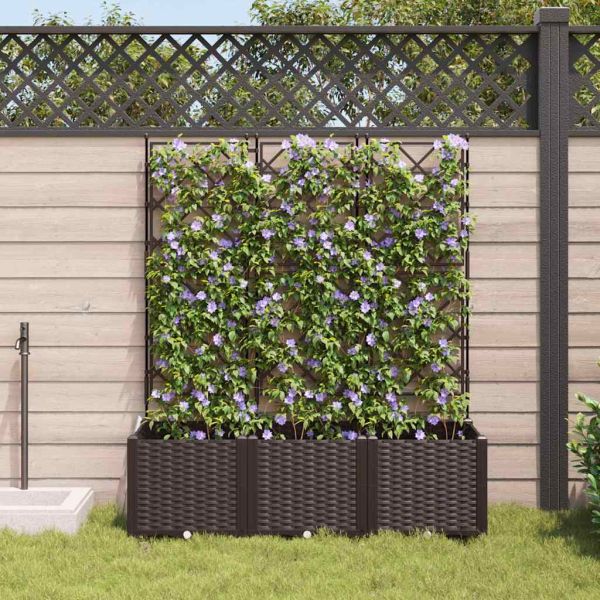 Градинска саксия 3 pcs Кафяво 120 x 40 x 143 см Пластмаса
