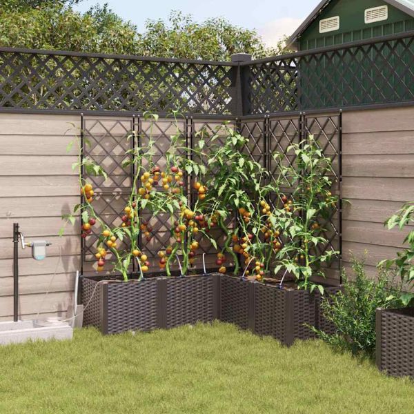 Градинска саксия 5 pcs Кафяво 120 x 120 x 142 см Пластмаса