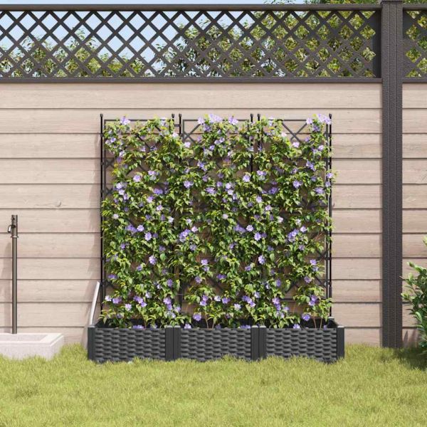 Градинска саксия 3 pcs Черен 120 x 40 x 125,5 см Пластмаса